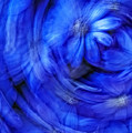 Blue Floral Swirl