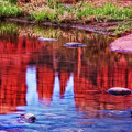 Cathedral Rock Reflection Painterly